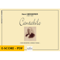 Cantabile for string orchestra and organ - E-score PDF
